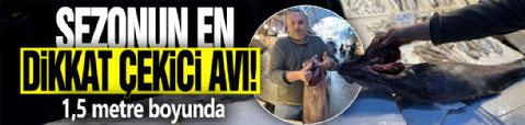 Sezonun en dikkat çekici avı! 1,5 metre boyunda