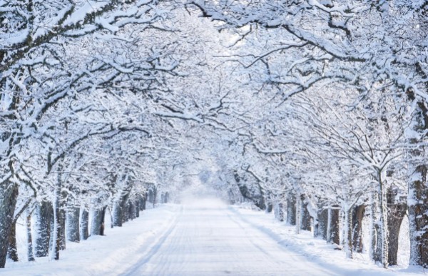 Meteoroloji Duyurdu! Karla Karışık Yağmur...