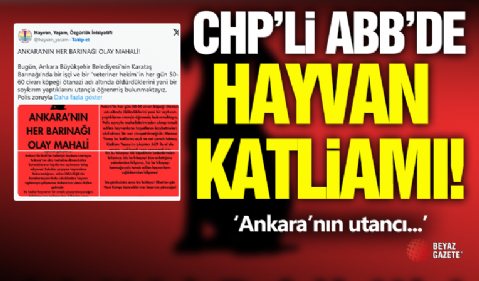 CHP'li ABB'de Hayvan Barınakları Can Pazarına Döndü!