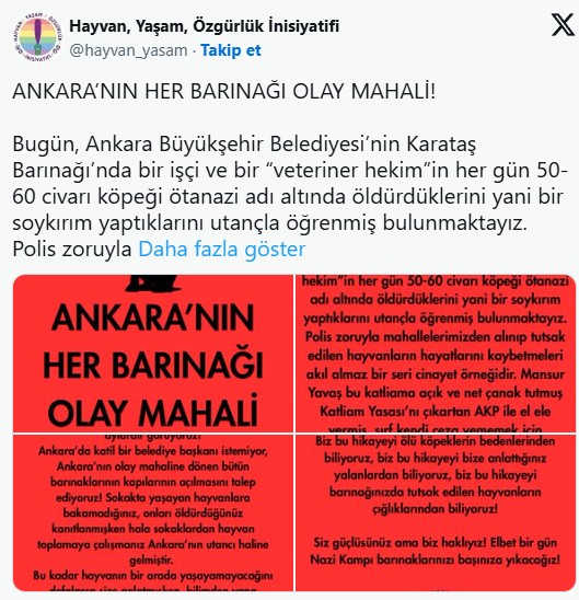 CHP'li ABB'de Hayvan Barınakları Can Pazarına Döndü!