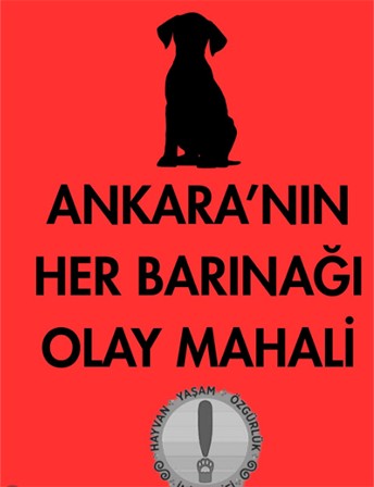 CHP'li ABB'de Hayvan Barınakları Can Pazarına Döndü!