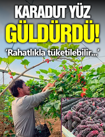 Karadut Yüzleri Güldürdü!