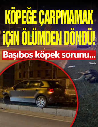 Köpeğe Çarpmamak İçin Ölümden Döndü!