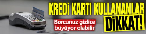 Kredi kartı kullananlar dikkat! Borcunuz gizlice büyüyor olabilir