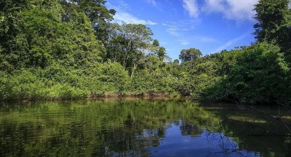 Amazon'da İklim Değişiyor!