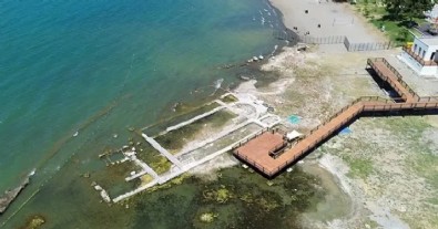 Papa 14. Leo ziyaret etti! 1 gün sonra satışa çıkardı