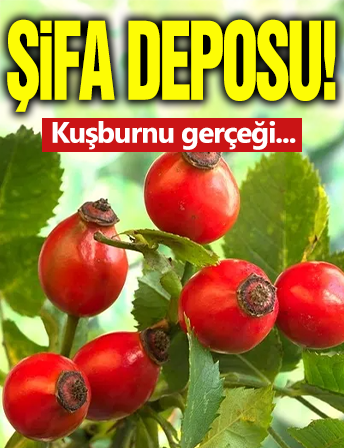 Şifa Deposu O İçecek!