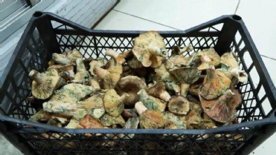 Uzmanlar uyardı! 1 ayda 60 kişi zehirlendi