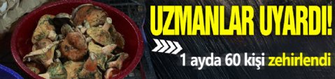 Uzmanlar uyardı! 1 ayda 60 kişi zehirlendi