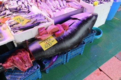 Özel izinle satılıyor! Gören hayrete düşüyor