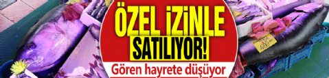 Özel izinle satılıyor! Gören hayrete düşüyor