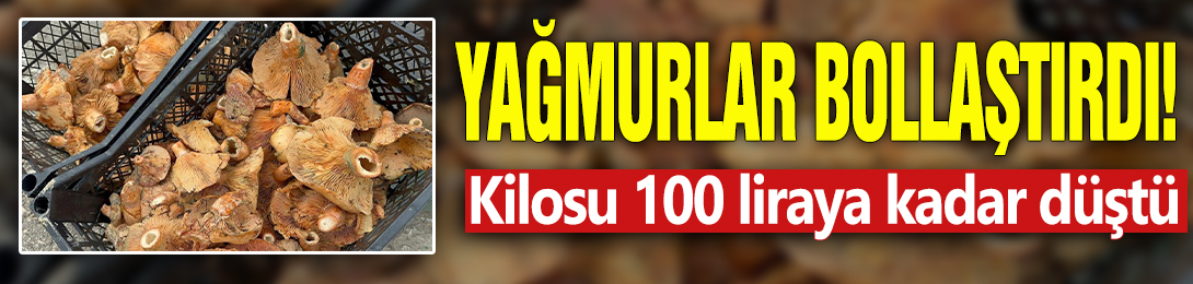 Yağmurlar bollaştırdı! Kilosu 100 liraya kadar düştü