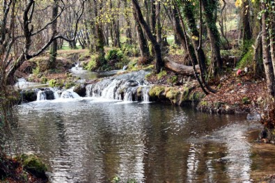 İstanbul'un hemen dibinde! Giden tutkunu oluyor