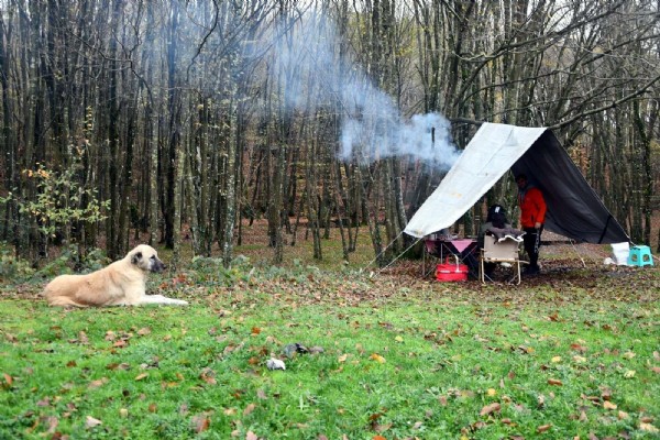İstanbul'un hemen dibinde! Giden tutkunu oluyor