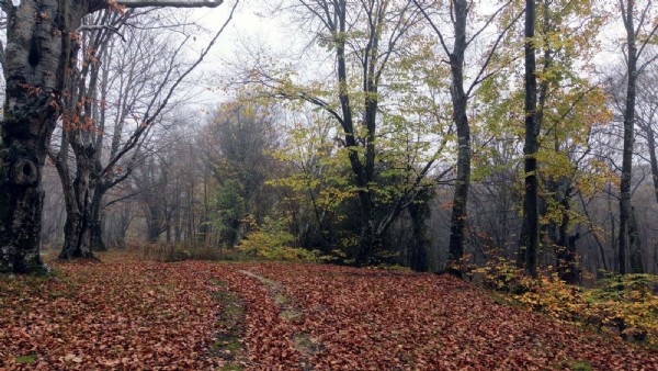 İstanbul'un hemen dibinde! Giden tutkunu oluyor