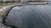 İskenderun'da endişelendiren görüntü: Deniz çekildi Haberi