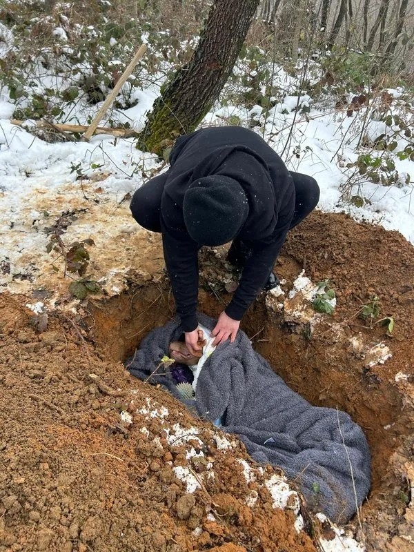 İstanbul’da 2 günde 2 elektriğe kapılma olayı yaşandı: Bir köpek öldü