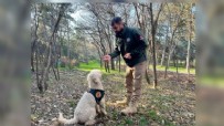 Bakanlığın dedektör köpekleriyle 1 ayda 4,1 ton uyuşturucu ele geçirildi