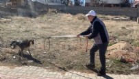 Karaman'da köpek saldırısında oğlunu kurtarmak isteyen baba yaralandı