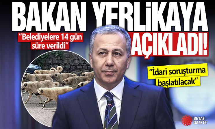 Ali Yerlikaya'dan başıboş sokak köpekleriyle ilgili açıklama