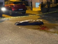 Kadıköy'de korkunç kaza: Çöp kamyonu 82 yaşındaki kadını ezdi!