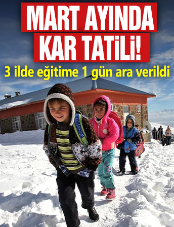 Mart ayında kar tatili! 3 ilde eğitime 1 gün ara verildi