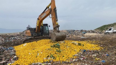 Yasaklı madde tespit edildi; tonlarca limon imha edildi!
