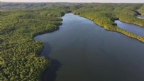 İstanbul için güzel haber! Barajlardaki son durum...