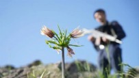 Dünya bu çiçeği koruyor! Dokunan yandı