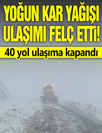 Yoğun kar yağışı ulaşımı felç etti! 40 yol ulaşıma kapandı