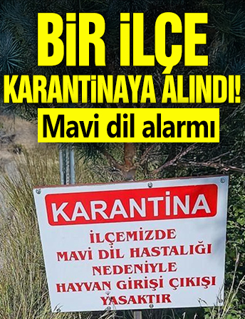 Bir ilçe karantinaya alındı! Mavi dil alarmı