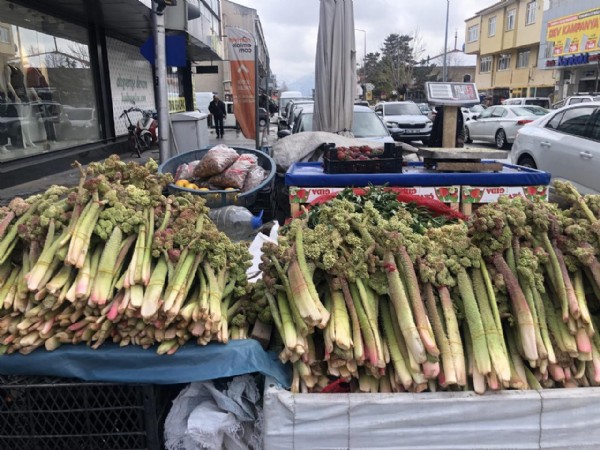 Doğada kendiliğinden yetişiyor! Deste fiyatı 300 TL'yi buldu