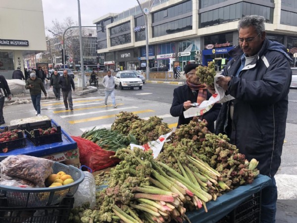 Doğada kendiliğinden yetişiyor! Deste fiyatı 300 TL'yi buldu