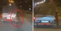 Bu nasıl vicdansızlık! Köpeği aracın arkasına bağladı...