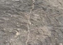Tekirdağ'da konvoya çıktılar! Sakın dokunmayın... Haberi