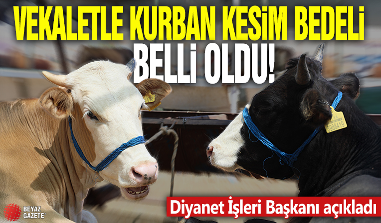 Diyanet İşleri Başkanı açıkladı! 2025 vekaletle kurban kesim bedeli belli oldu