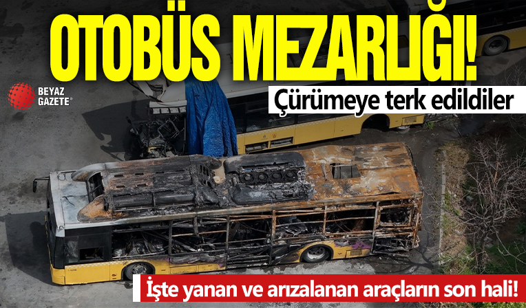 İstanbul'da İETT garajları otobüs mezarlığına dönüştü