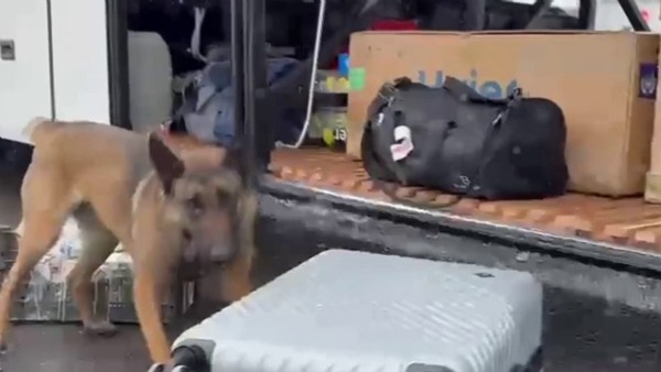 Erzurum’da uyuşturucu sevkiyatına narkotik köpeği engeli