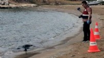 Mersin'de denizde cansız bedeni bulundu