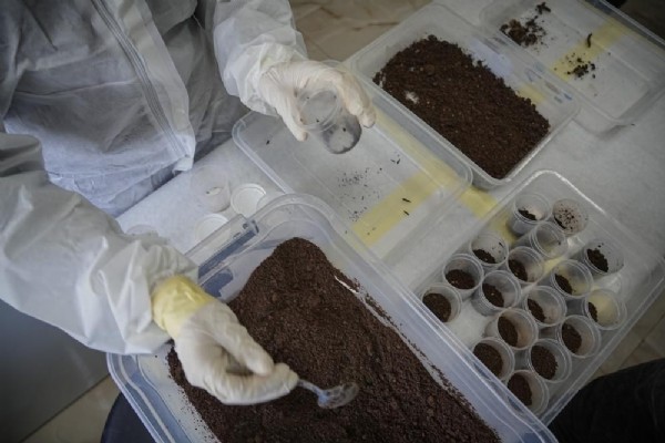 2006'da kurulan laboratuvarda aralıksız üretiliyor; 440 bin 335 tanesi doğaya bırakıldı
