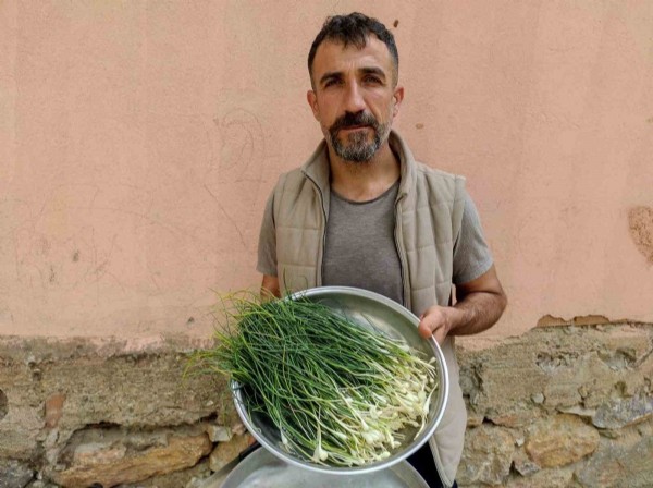 Doğanın altın değeri! Günde sadece 1 kilo çıkıyor