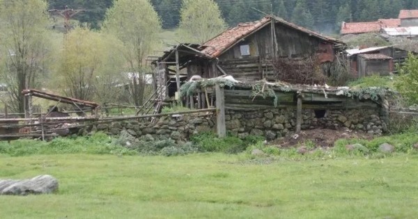 Karı kocanın boğazları kesilmiş halde bulundu