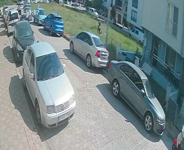 Aydın'da sınava giden öğrenciye köpek saldırdı