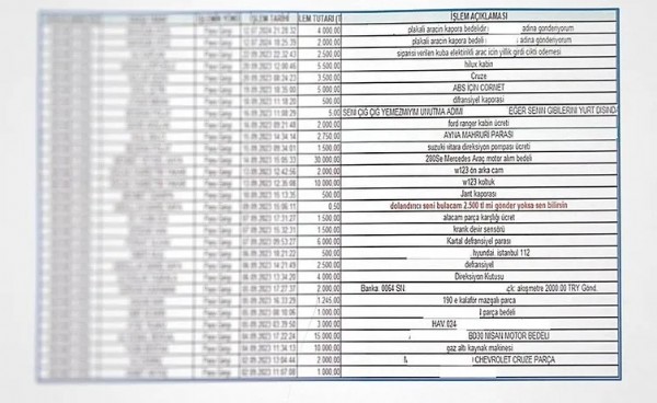 Sahte web sitesi ile 229 milyon liralık vurgun: Seni çiğ çiğ yemez miyim, unutma adımı!