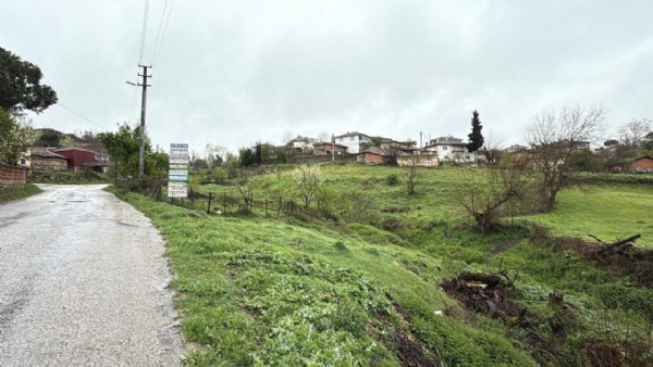 Bir ilde şap alarmı! Ekipler harekete geçti