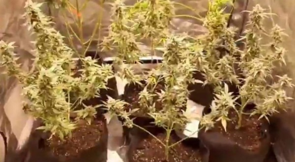 Bursa'da uyuşturucu baskını: 24 gözaltı