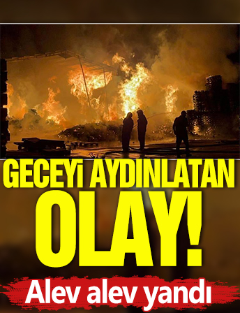 Geceyi aydınlatan olay! Alev alev yandı