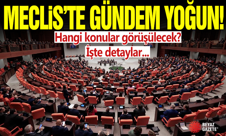 Meclis'te bu hafta hangi konular görüşülecek