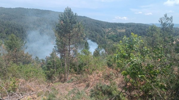 Çanakkale'de orman yangını kontrol altına alındı