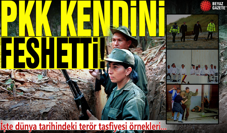 PKK kendini feshetti: İşte dünyadan benzer terör tasfiye örnekleri